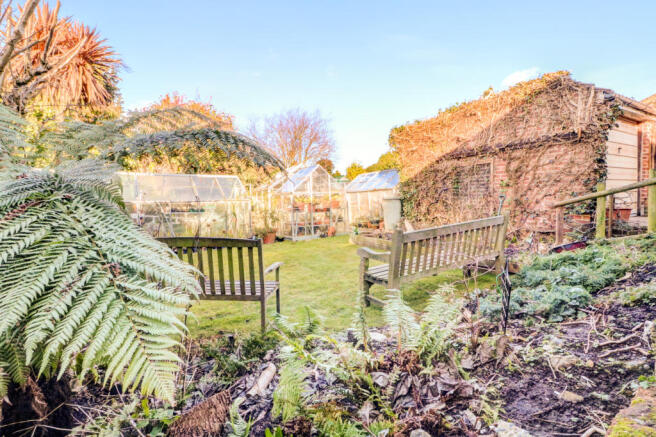 Rear garden 2