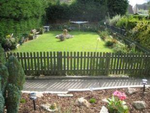 garden 1