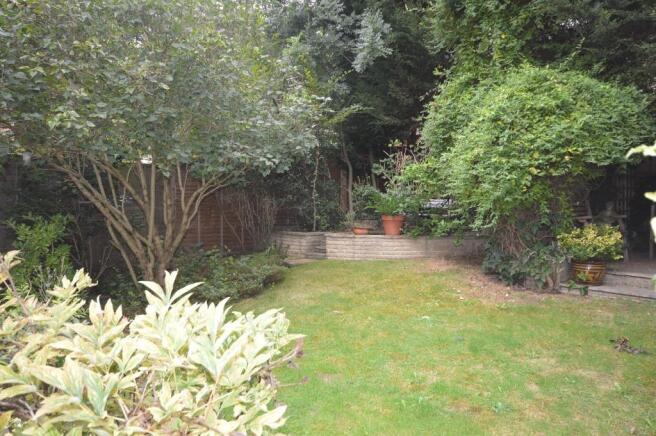 Rear garden.jpg