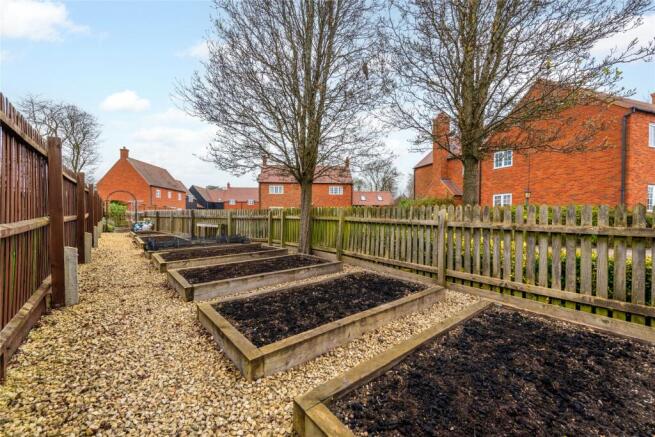 Vegetable Garden