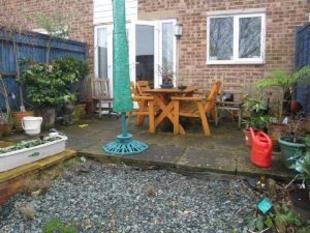 Patio Area