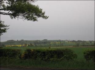 Country view