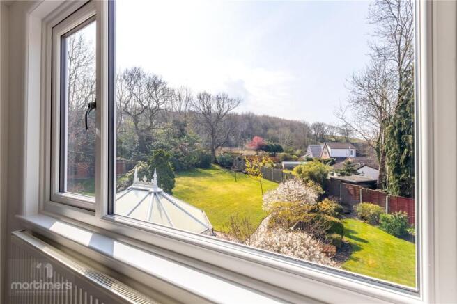 View From Bedroom