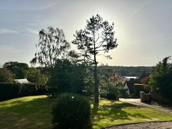 View Across Garden