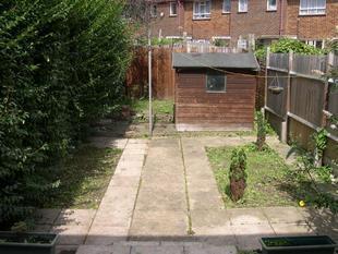 Photo 5