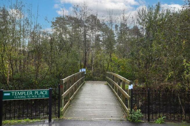 Bridge to Nature ...