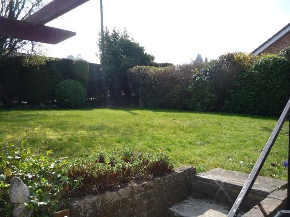 Photo 11