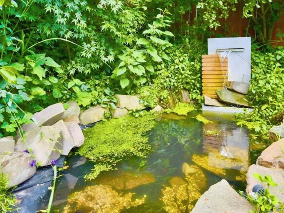 Pond Area