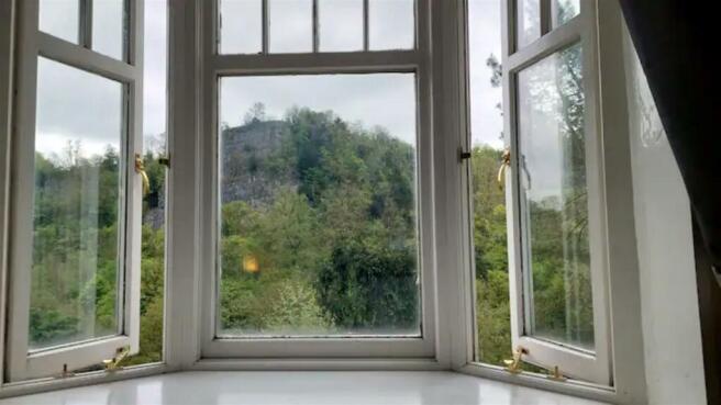 Window View.jpg