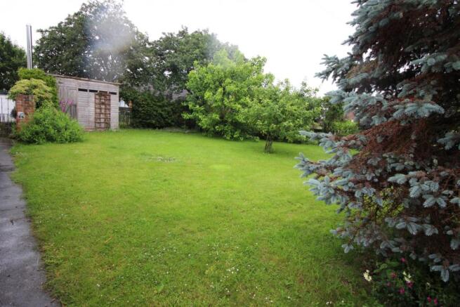 Image 20