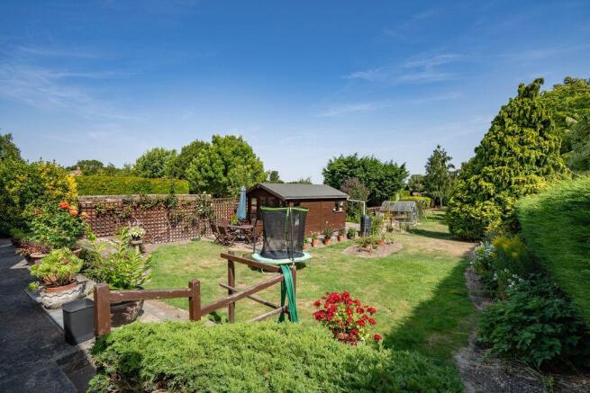 Garden at Back