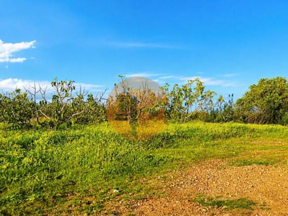 Ground