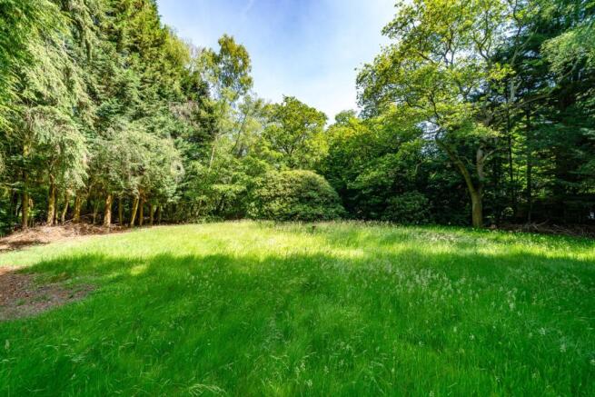 Oldhill Wood, Studham, LU6 photo 4