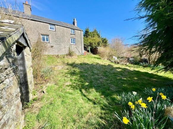 PHOTO-2025-04-01-20-09-19 (2).jpg