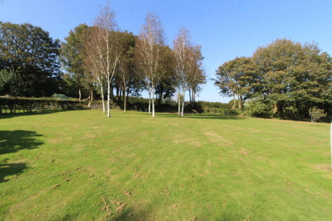 Paddock