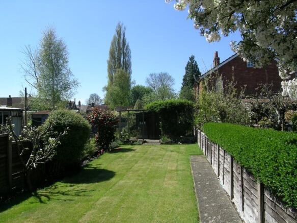 garden1