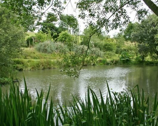Duck Pond