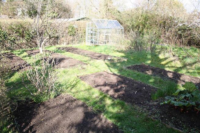 Allotment.jpg