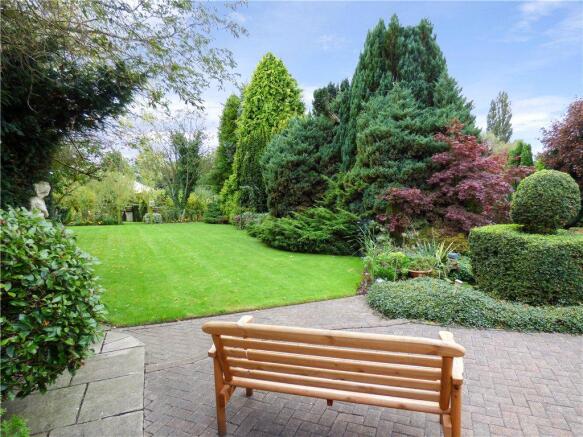Patio & Lawn