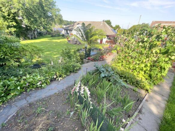Vegetable Garden
