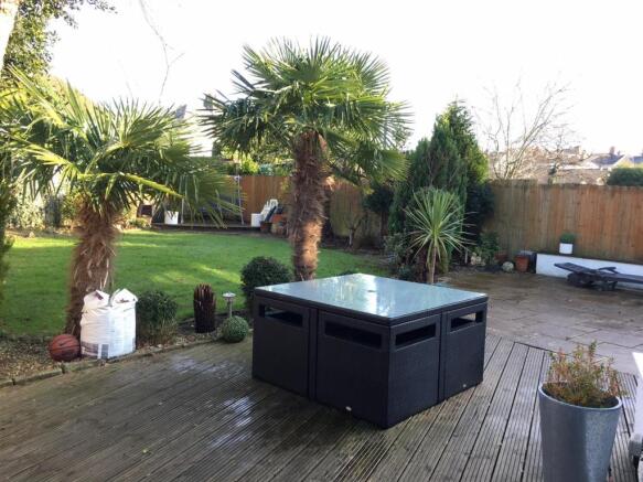 new garden.jpg