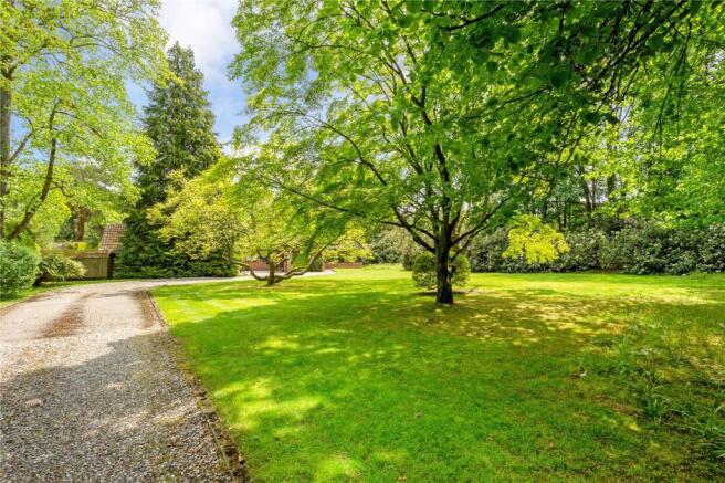 Driveway