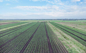 Ventura Place, Middle Fen Lane, Washingborough, Lincoln LN4 1AJ