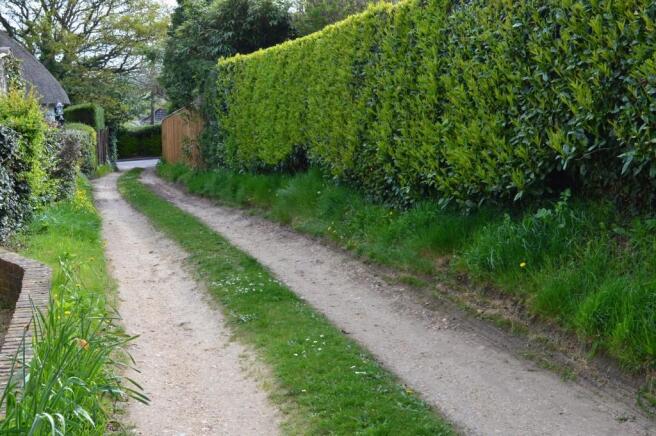 Photo 20