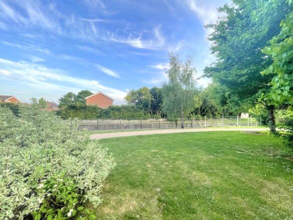 Grassland view