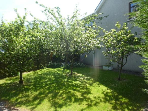 Orchard