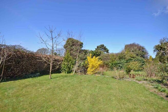 new garden