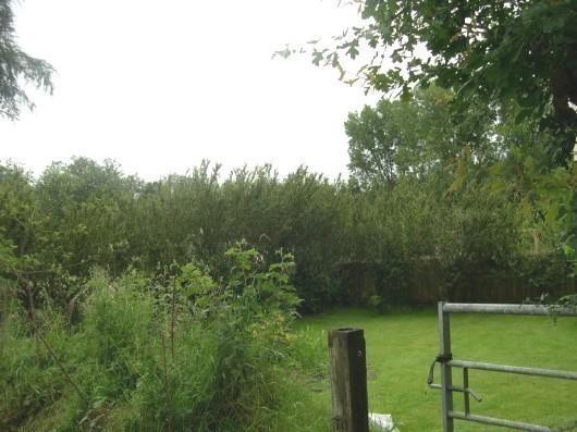 View of Garden