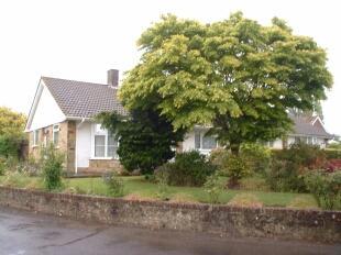 Garden2