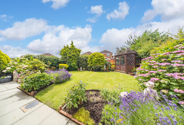 Photo 19