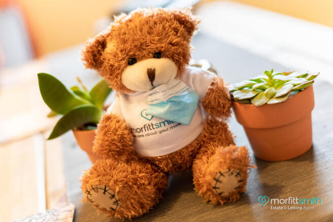 Smiffy Bear