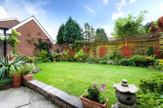 Sunny Aspect Garden