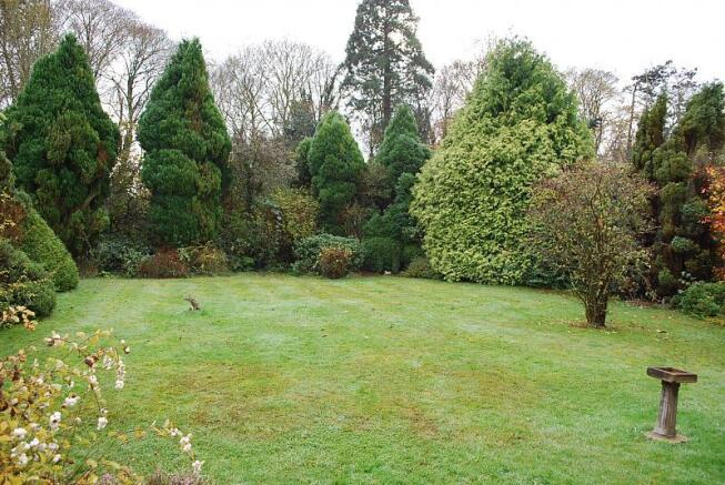 Photo 4