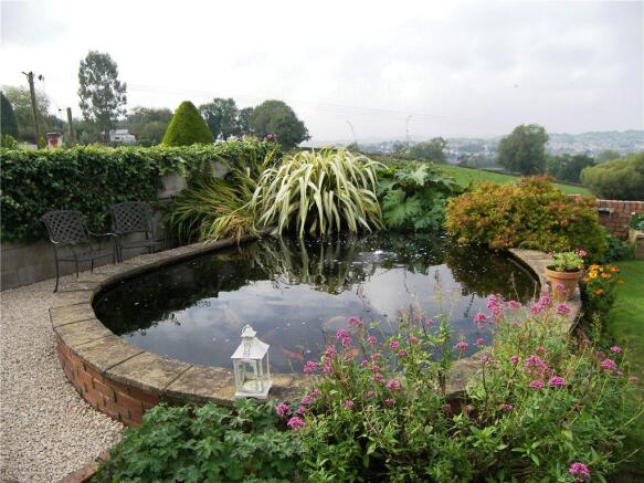Pond