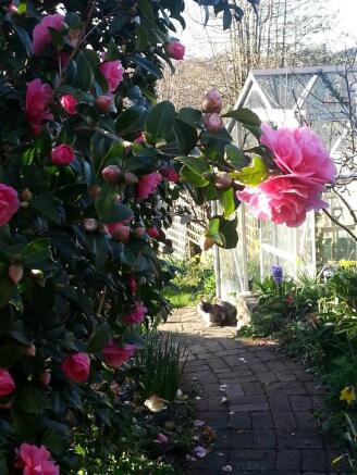 Garden 5.jpg