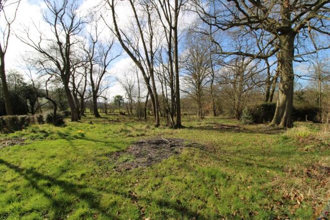 Wooded area