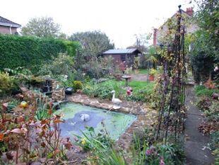 Rear Garden 2