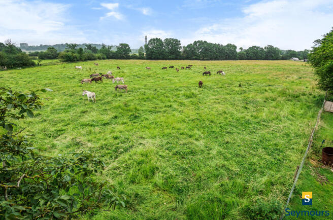 Field to Rear