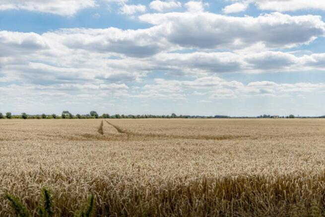 Swanholme (Stickney)-5