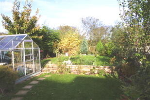 Greenhouse