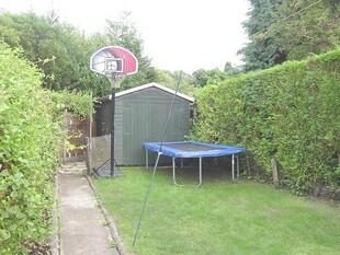 Rear Lawn