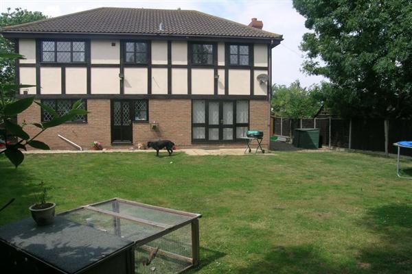 Photo 11