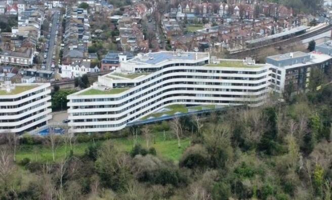 Ariel Shot cropped.jpg