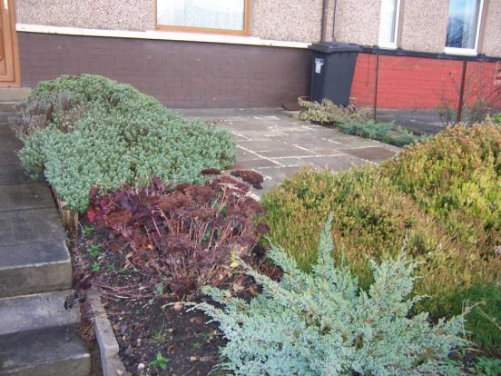 Front Garden