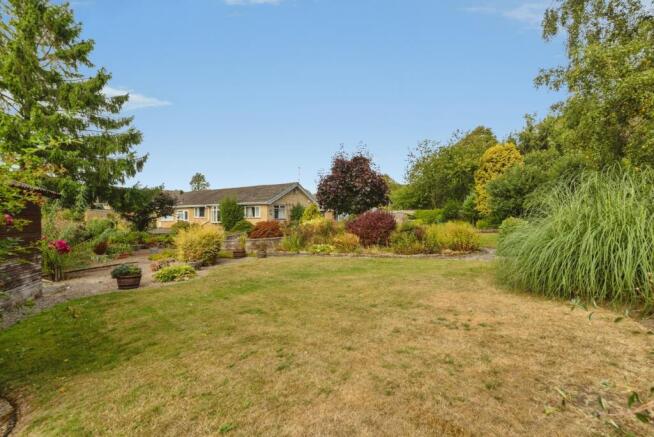 pbox-IMG.jpg