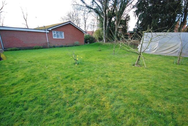 a garden 2.jpg